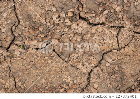 Soil on the ground as texture and background. 127372401