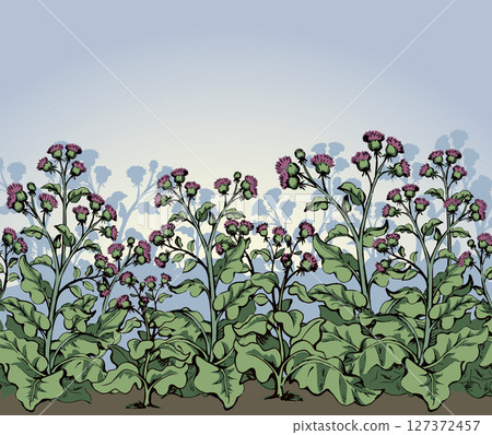Big blooming burdock. Vector drawing 127372457