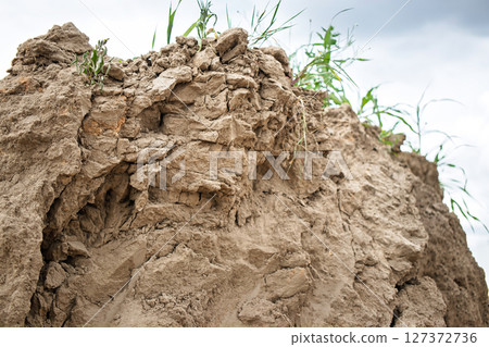 Earth mound with grass sprouts under overcast sky in rural area during summer afternoon 127372736