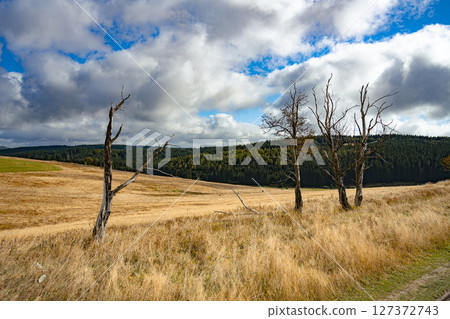 This breathtaking view of the Ore Mountains captures the beauty of Czech nature with lush trees and expansive grasslands under a dynamic sky. The tranquility invites exploration and adventure. 127372743
