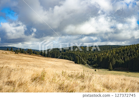 Rolling hills and vast meadows characterize the Ore Mountains, showcasing vibrant green forests and dramatic clouds. This tranquil landscape offers a serene escape into nature's beauty. Rolling hills and vast meadows characterize the Ore Mountains, showcasing vibrant green forests and dramatic clouds. This tranquil landscape offers a serene escape into nature's beauty. 127372745