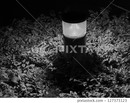 Street lighting and greenery. Night scenery. Monochrome. Illustration-style photo. 127373123