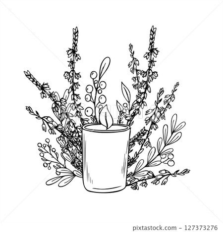 Burning candle in glass jar and heather, boxwood branches monochrome vector illustration. Etching drawing of holiday composition for festive design, wellness branding, nature packaging. 127373276