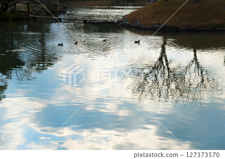 Scenery reflected on the surface of the water 127373570