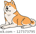 Akita dog color dog illustration 127373795