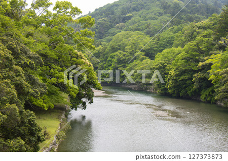 A river surrounded by fresh greenery 127373873