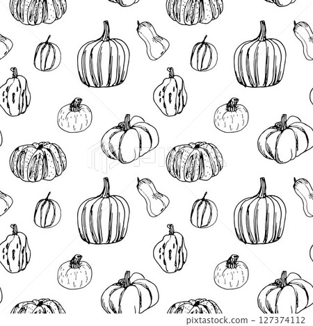 seamless pattern with hand drawn pumpkins butternut, nutmeg, forage, white background, vintage style seamless pattern with hand drawn pumpkins butternut, nutmeg, forage, white background, vintage style 127374112