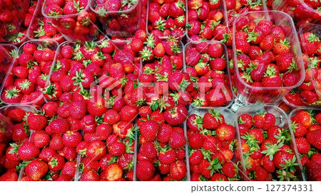 Fresh Strawberries Packed in Clear Containers at a Local Market During Summer Harvest Season Fresh Strawberries Packed in Clear Containers at a Local Market During Summer Harvest Season 127374331