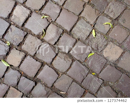 Cobblestone Pathway in Historic Town Shows Age and Character With Scattered Leaves 127374462