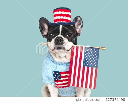 Cute puppy, top hat and American Flag 127374498