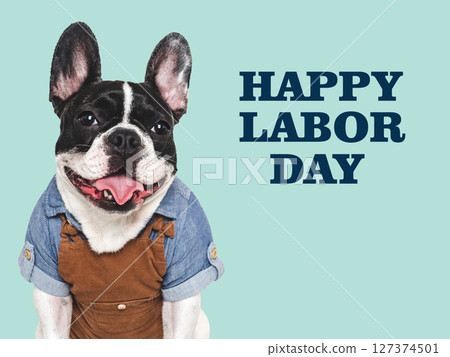 Happy Labor Day. Cute puppy and congratulatory inscription 127374501