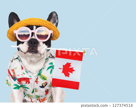 Cute puppy, sun hat, sunglasses and Canadian Flag. Studio shot 127374518