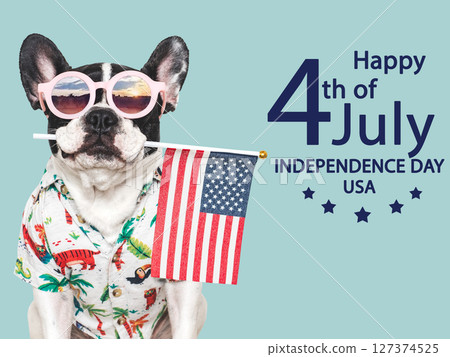 Happy Independence Day. American Flag and cute puppy 127374525