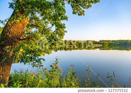 The sun sets over the serene Trebonsko Pond System, reflecting the lush greenery and calm water, showcasing the natural beauty of South Bohemia, Czechia. 127375532