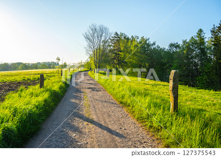 This winding country road is surrounded by lush greenery and trees, providing a tranquil escape. The clear blue sky and sunlight enhance the serene atmosphere of rural life in spring. This winding country road is surrounded by lush greenery and trees, providing a tranquil escape. The clear blue sky and sunlight enhance the serene atmosphere of rural life in spring. 127375543
