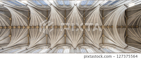 Intricate gothic detailing showcases the remarkable ceiling of Westminster Abbey, a renowned landmark in London. The craftsmanship highlights the historical significance of this architectural gem. 127375564