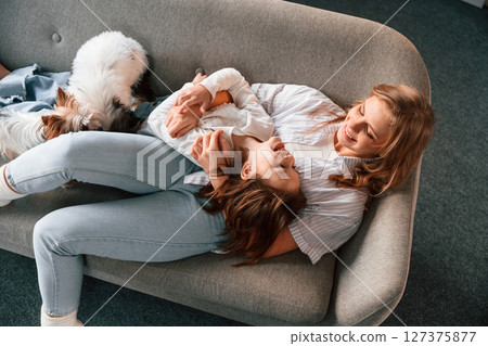 Top view. Mother with her daughter and with cute dog is in domestic room Top view. Mother with her daughter and with cute dog is in domestic room 127375877
