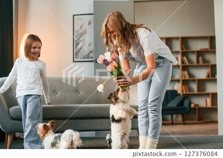 With flowers. Mother with her daughter and with two cute dogs is in domestic room With flowers. Mother with her daughter and with two cute dogs is in domestic room 127376084