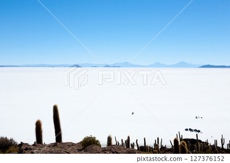 Salar de Uyuni view from Isla Incahuasi 127376152