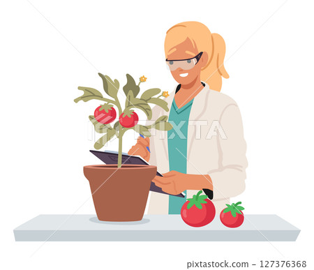 Scientist cartoon character checking quality of cultivated tomatoes plant in lab isolated on white 127376368