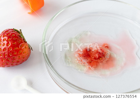 Strawberry in Petri dish with advanced Botrytis cinerea infection, extensive surface mold indicating late-stage food spoilage in scientific food research, experimental photography 127376554