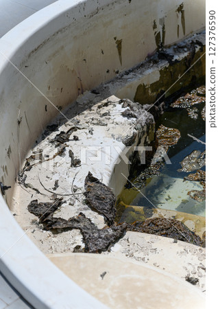 Close-up of dirty swimming pool with algae and murky water. Close-up of dirty swimming pool with algae and murky water. 127376590