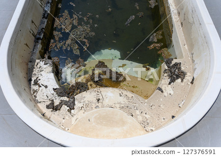 Close-up of dirty swimming pool with algae and murky water. 127376591