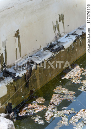 Close-up of a swimming pool with algae, dirty steps, and murky, stagnant water. Close-up of a swimming pool with algae, dirty steps, and murky, stagnant water. 127376596