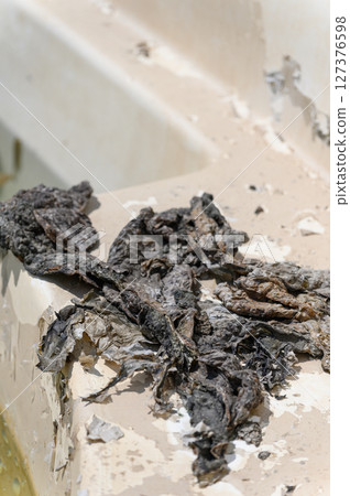 Close-up of a swimming pool with algae, dirty steps, and murky, stagnant water. Close-up of a swimming pool with algae, dirty steps, and murky, stagnant water. 127376598