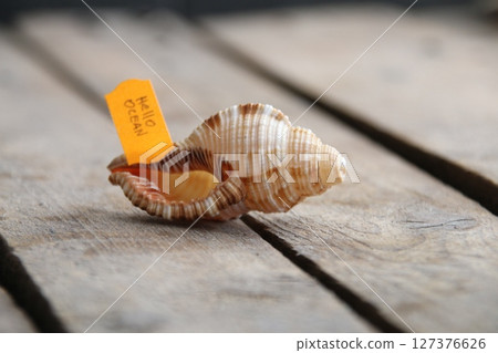 Hello ocean, summer vacation, holidays, party concept. 127376626