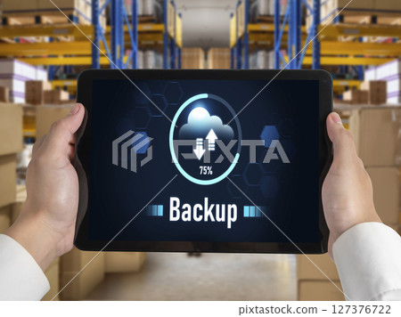 Backup Storage Data Internet Technology Business concept snugly Backup Storage Data Internet Technology Business concept snugly 127376722