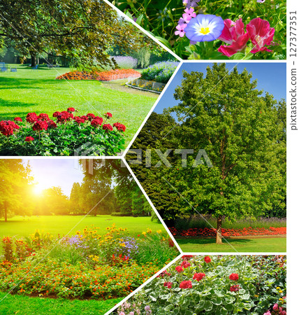 Flowerbeds in gardens and parks. Collage. Flowerbeds in gardens and parks. Collage. 127377351