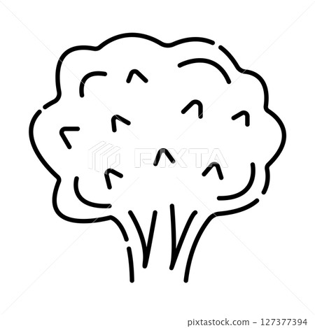 Broccoli black and white vector line illustration 127377394
