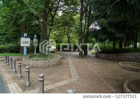 Scenery of Utsubo Park 127377521