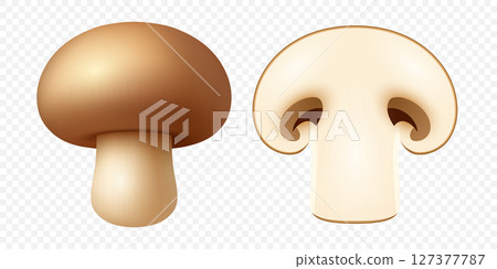 Vector 3d Whole and Sliced Champignon Mushroom Set. Realistic Fresh White Mushroom with Cut Section for Cooking Ingredient, Food Packaging, Grocery, Organic Product, Recipe, Culinary Illustration 127377787