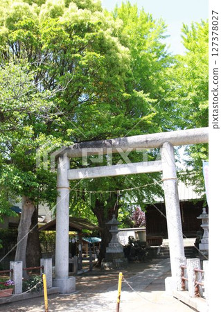 千葉縣市川市本鹽市的本鹽豐池神社 127378027