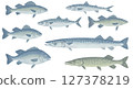 Simple fish illustration 127378219