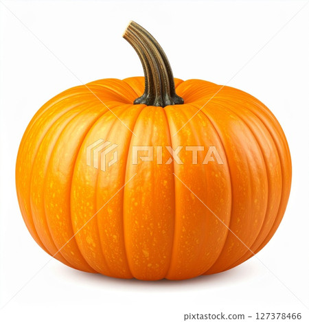 Single Orange Pumpkin on White Background 127378466