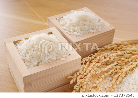Japan's staple food, white rice and rice ears Japan's staple food, white rice and rice ears 127378545