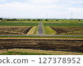Rice field where rice crop was over 127378952