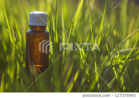 Amber Glass Bottle in Tall Grass Amber Glass Bottle in Tall Grass 127378993