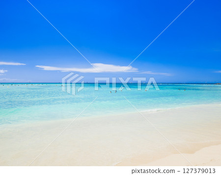 Summer, sea and beach image Hawaii Summer, sea and beach image Hawaii 127379013