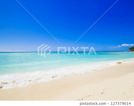 Summer, sea and beach image Hawaii 127379014