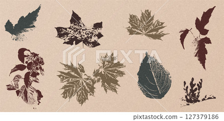 Autumn textured leaves set Autumn textured leaves set 127379186