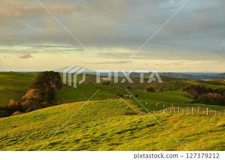 Green fields of New Zealand Green fields of New Zealand 127379212
