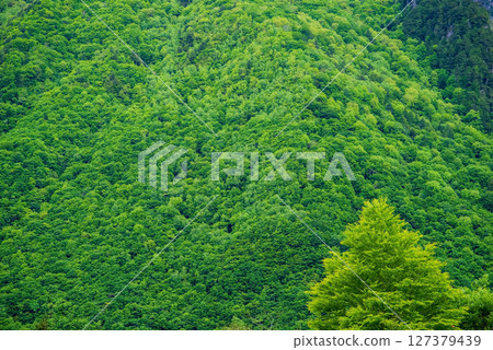 Scenery of Okuhida Onsen Village [Fresh green mountain surface] 127379439