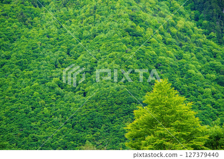 Scenery of Okuhida Onsen Village [Fresh green mountain surface] 127379440