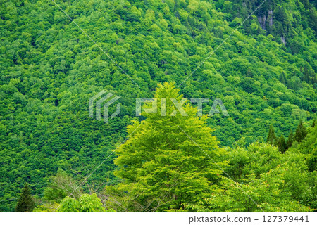 Scenery of Okuhida Onsen Village [Fresh green mountain surface] 127379441