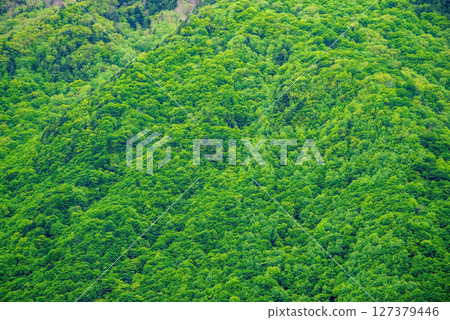 Scenery of Okuhida Onsen Village [Fresh green mountain surface] 127379446