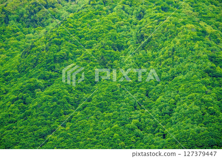 Scenery of Okuhida Onsen Village [Fresh green mountain surface] 127379447